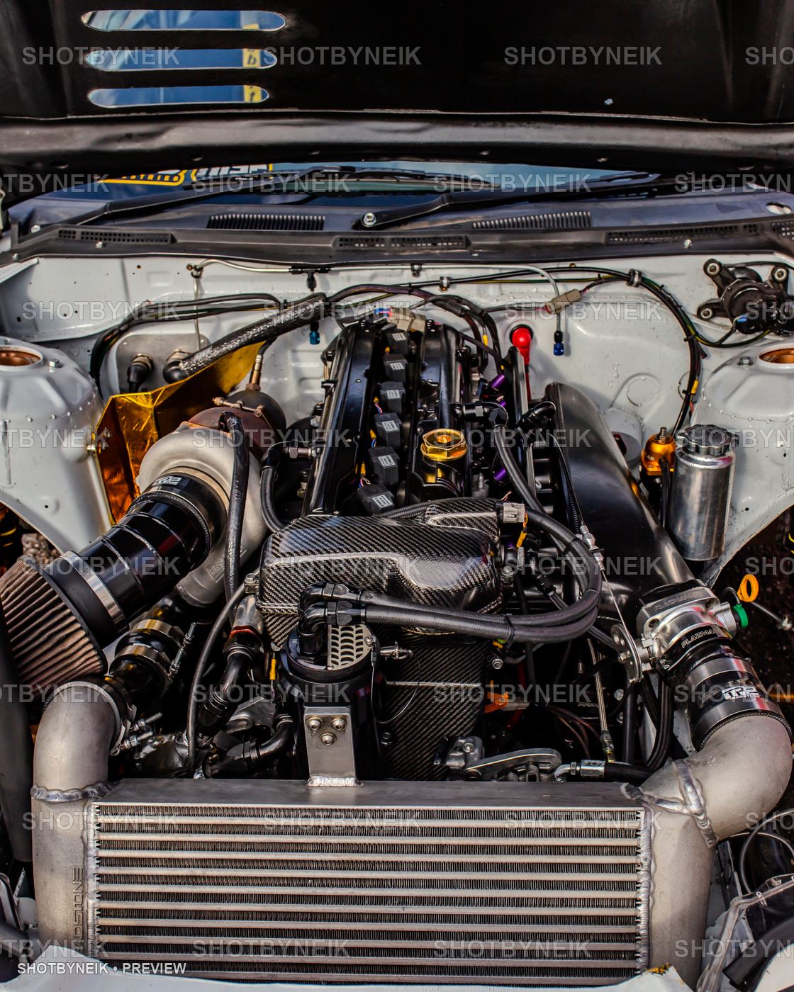 FD 25 — IMG_1017